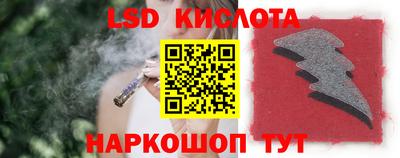 прущие грибы Малгобек