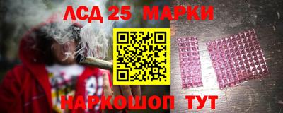 прущие грибы Малгобек