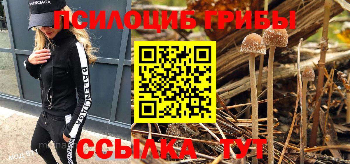 Псилоцибиновые грибы Psilocybine cubensis Чехов